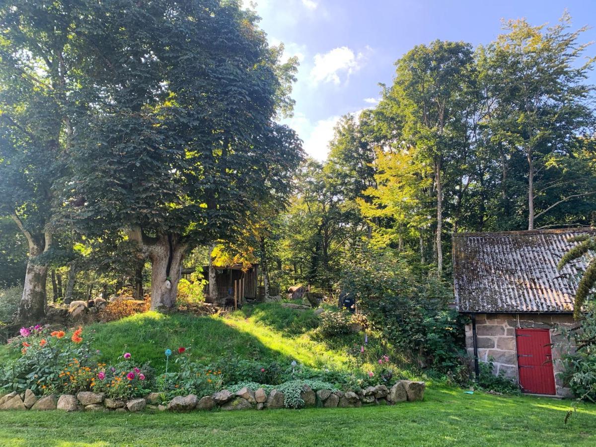 Farm Stay Happy Dogs Ranch Veberöd Esterno foto