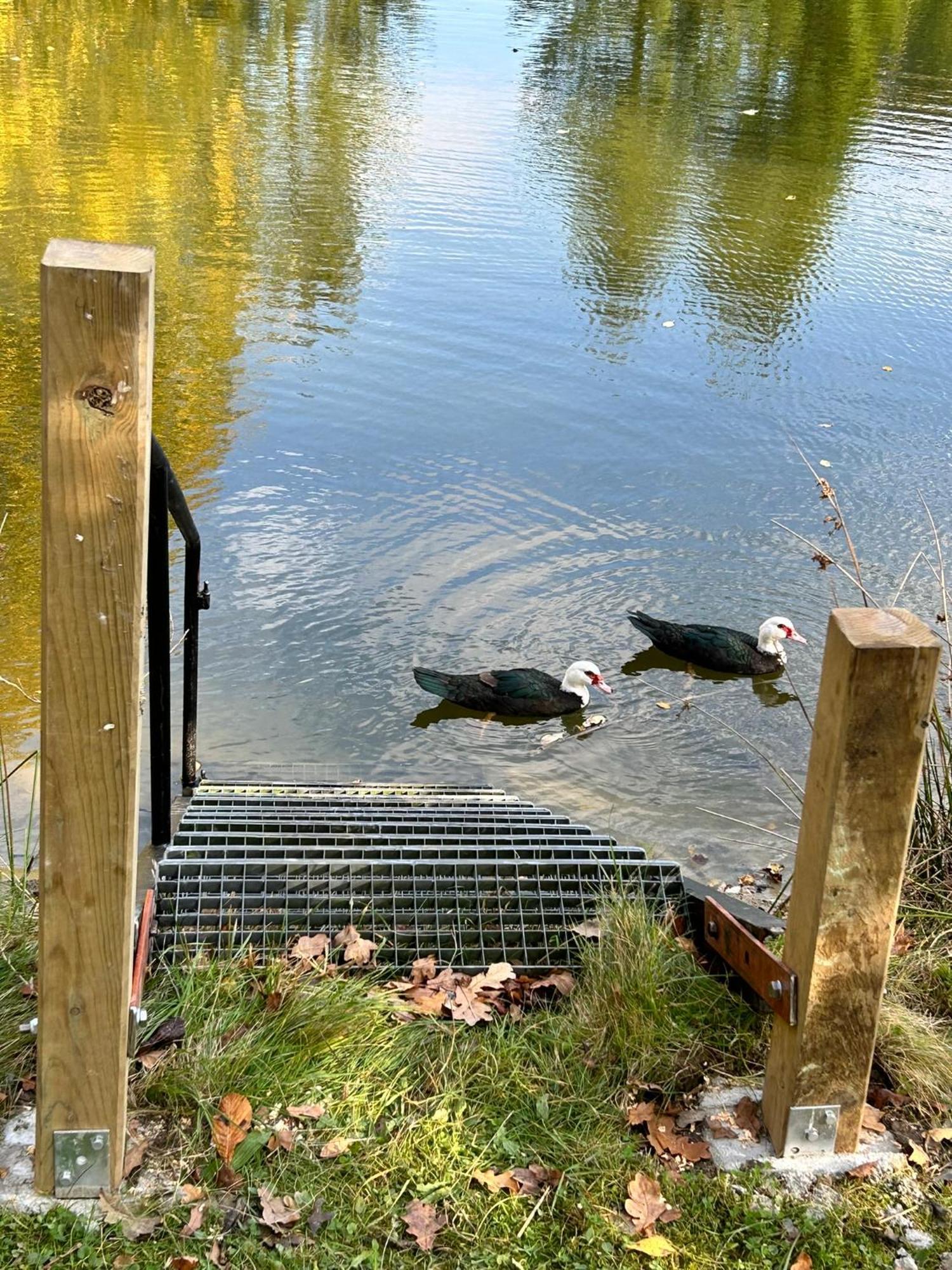 Farm Stay Happy Dogs Ranch Veberöd Esterno foto