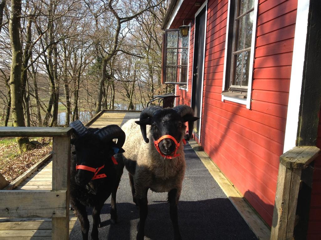 Farm Stay Happy Dogs Ranch Veberöd Esterno foto