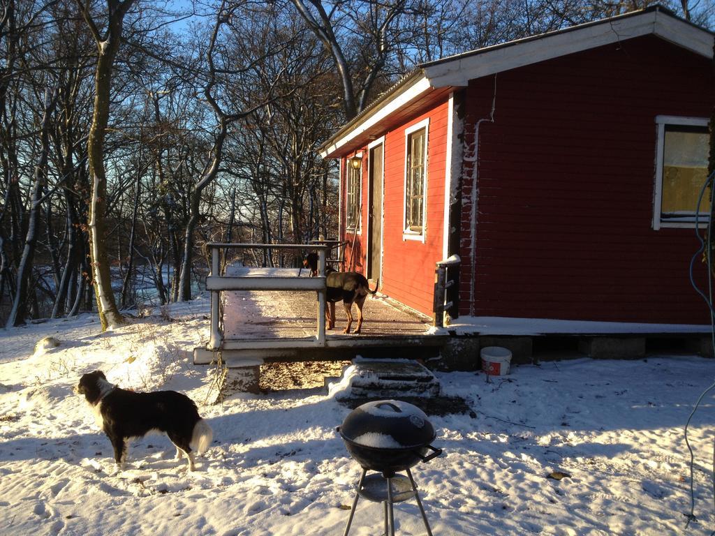 Farm Stay Happy Dogs Ranch Veberöd Esterno foto