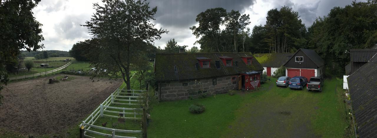 Farm Stay Happy Dogs Ranch Veberöd Esterno foto