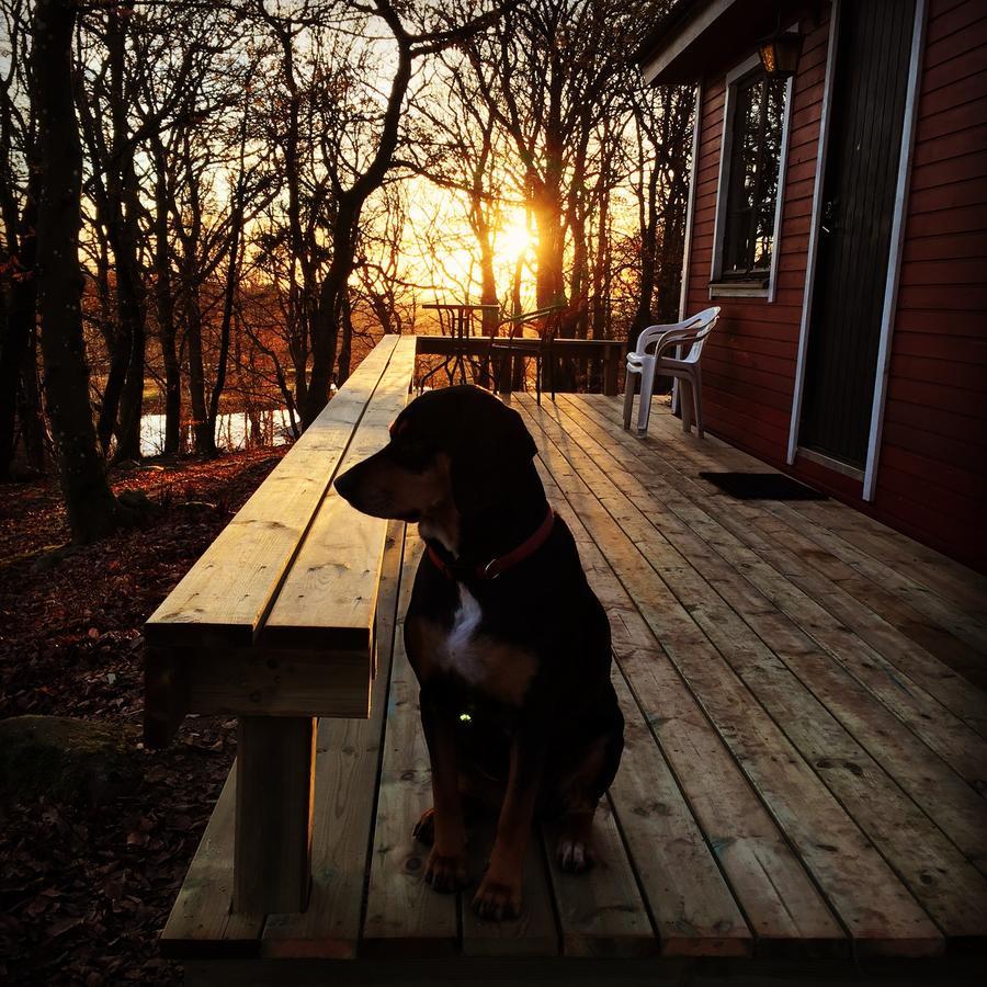 Farm Stay Happy Dogs Ranch Veberöd Esterno foto